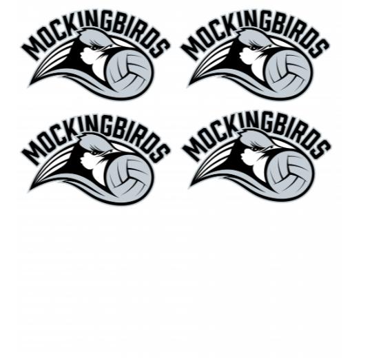 Custom DTF Gang Sheet 22x24*