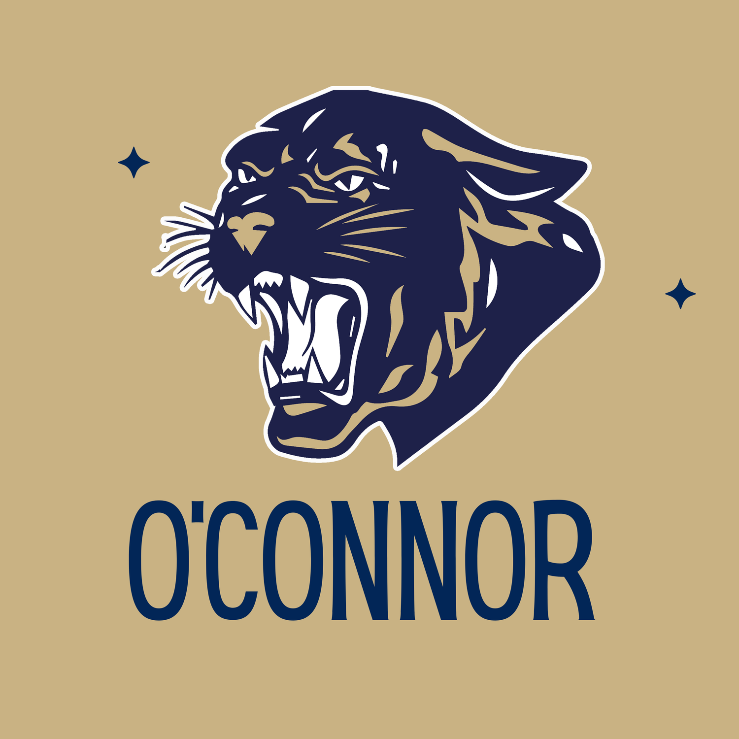O’Connor High School