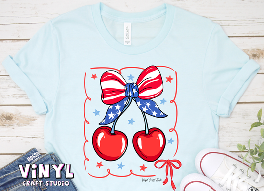 3580A_4th of July