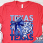 3743A_Texas