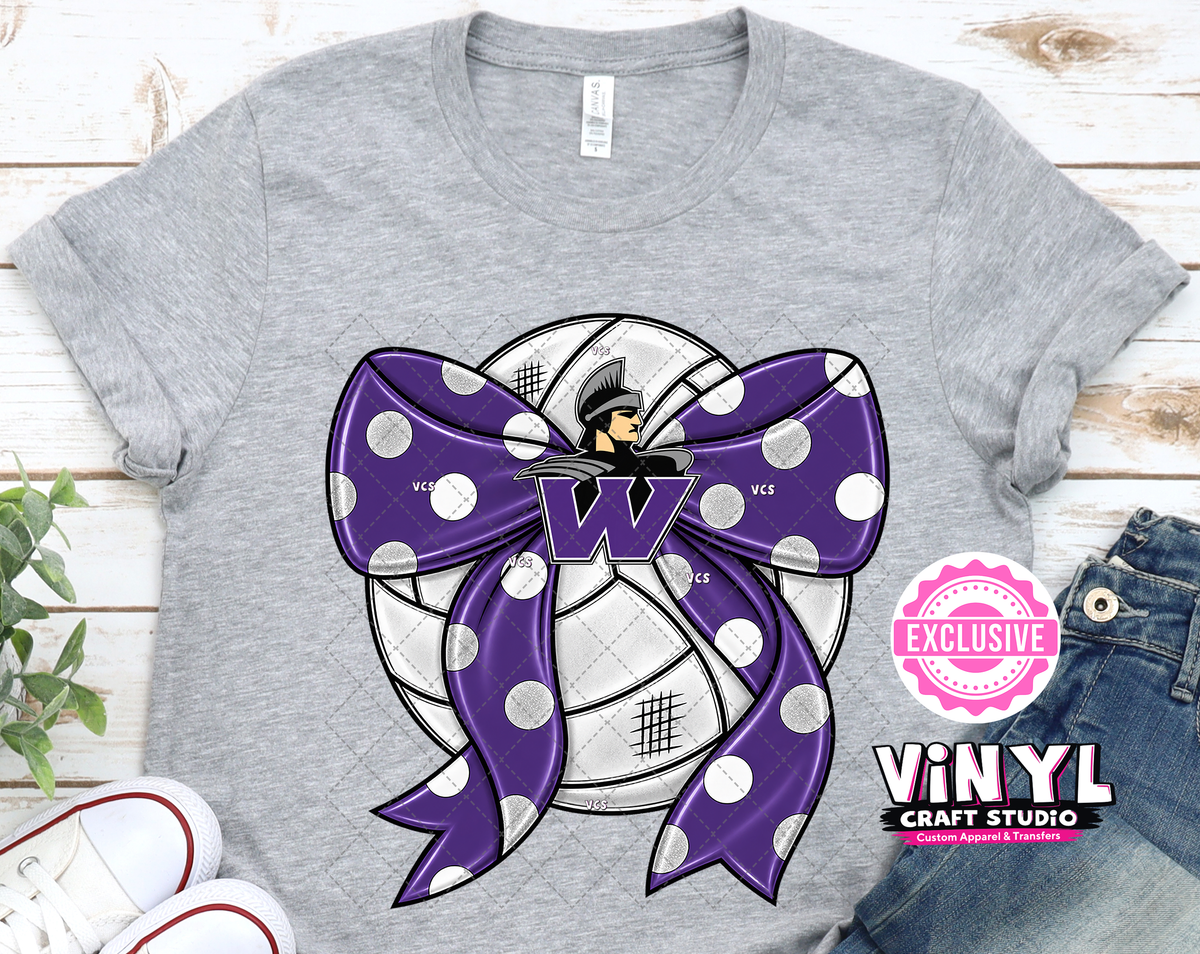5025A_Volleyball