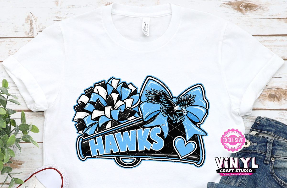 5029A_Cheer Hawks